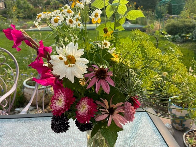 pink and green bouquet with daisy, gladiola, feverfew, rasberry, dill pink and green bouquet with daisy, gladiola, feverfew, rasberry, dill