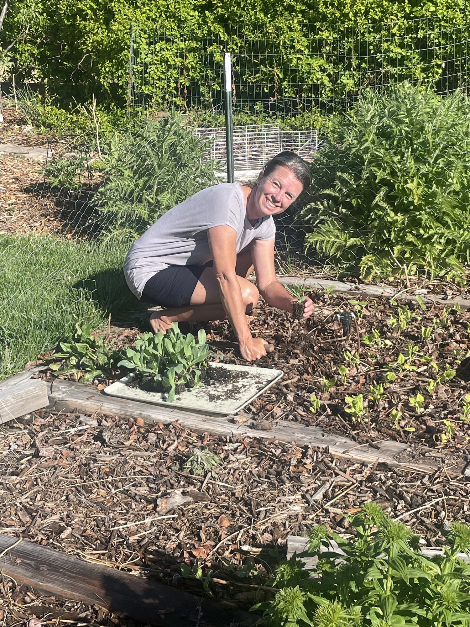 owner of backyard bouquets planting green flower seedlings in her yard